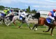 FOTO Sute de spectatori la cursele de trap și galop de la Hipodromul Ploiești