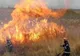 Incendiu de vegetație uscată în Cartierul Albert din Ploiești