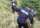 Incendiu la fondul forestier din Azuga. Este o zonă greu accesibilă echipajelor de intervenție VIDEO