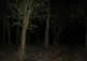 Trei adolescenți s-au rătăcit în pădure în zona Telega-Buștenari