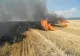 Bărbat găsit carbonizat în urma unui incendiu de vegetație în Prahova