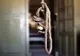 Tragedie  în comuna Bucov! Un tânăr de 24 ani s-a spânzurat