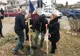 Ministrul Grațiela Gavrilescu  a participat  la acțiuni de plantare de castani comestibili în două localități din Prahova