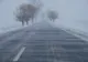 Cod galben de vânt în zona de munte din Prahova