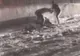 Un ploieștean de 25 de ani este victima criminalului de la Mediaș