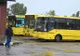 INCREDIBIL Adolescentă rănită la Ploiești după ce a căzut prin geamul unui autobuz TCE!