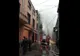 VIDEO Cinci pisici și trei căței salvați dintr-o casă cuprinsă de flăcări, pe str. Căliman din Ploiești