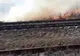 Incendii vegetație uscată în mai multe localități prahovene. Unul este în apropierea unei căi ferate VIDEO