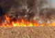 Trafic feroviar restricționat între Brazi și Crivina din cauza unui incendiu