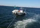 VIDEO   Operaţiune de salvare la Valea Calugarească. Bărbat căzut într-un canal de irigaţii