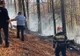 FOTO/ VIDEO Arde pădurea la Sinaia!