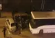 FOTO| Scandal în centrul Piteștiului! Mai mulți suporteri ai Petrolului, reținuți de polițiști