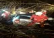 Accident în Prahova: Un tânăr fără permis a intrat cu mașina într-un copac