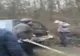 VIDEO Prahova: Conflict cu topoare într-o pădure din zona comunei Plopu