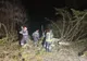 13.000 de locuințe din Prahova fără curent electric! Drumuri blocate de copacii căzuți! 
