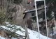 După urşi, şi mistreţii vin în "vizită" la Sinaia! 