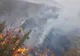 FOTO Incendiu de vegetație uscată la Valea Doftanei în Prahova
