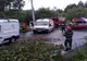 Copac picat peste un autoturism cu două persoane la Câmpina