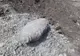 Sute de persoane evacuate la Ploiești, după descoperirea unei bombe de 200 de kg