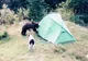 Mai mulți turiști care au campat în pădure s-au trezit cu ursul peste ei