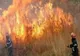16 incendii de vegetație uscată în Prahova în ultimele 24 de ore 