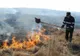 Vița de vie și vegetația de pe 5 hectare de teren, afectate de un incendiu la Urlați