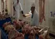 ANPC Prahova: Lista recomandărilor în pragul Sărbătorilor Pascale, când achiziționăm carne de miel, ouă și vin
