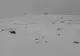 Ninge în Munții Bucegi. Zăpadă  în iunie la Refugiul Salvamont din Bușteni - FOTO, VIDEO