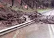 DN 1A Ploiești - Brașov, blocat din cauza aluviunilor