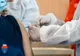 Prahova. Bărbaţii cercetați în dosarul “Vaccinare la chiuvetă” rămân sub control judiciar