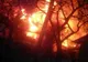 Incendiu la un grup de locuințe din Berceni. Cinci autospeciale intervin pentru stingerea flăcărilor