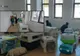 O nouă campanie de sterilizare gratuită a câinilor și pisicilor în Ploiești 