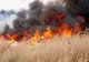 Incendiu de vegetație în comuna Bărcănești. Sunt efectate 60 de hectare