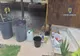 Primul laborator de extragere secundară a cocainei descoperit de polițiști în România- VIDEO