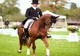 FOTO Karpatia Horse Show 2022, un regal al eleganței pe Domeniul Cantacuzino. Programul evenimentelor