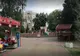 Prahova. Bărbat amendat pentru că și-a dus câinele în locul de joacă pentru copii