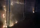 Peste 30 de hectare afectate, joi, de incendii de vegetație, în Prahova