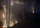 Incendii de vegetație, pe 17 hectare, în Dâmbovița și Prahova
