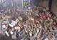 Percheziții într-o comună din Prahova, privind furturi de arbori. Cinci bărbați ar fi cauzat un prejudiciu de 16.000 de lei