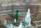 Minor din Ploiești, reținut după ce a fost filmat masturbându-se într-un cimitir din oraș