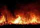 Prahova. Incendiu de vegetație în zona fabricii Coca Cola din Ploiești 