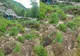 ALUNECARE DE TEREN ÎN PRAHOVA: O LOCUINȚĂ AFECTATĂ, DOI VARSTNICI EVACUAȚI 