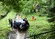 VIDEO FOTO Autocar cu turiști francezi implicat într-un accident la Sinaia. O persoană a decedat!