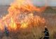 Incendiu de vegetație uscată la Corlătești. Un bărbat a fost rănit