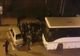 FOTO| Scandal în centrul Piteștiului! Mai mulți suporteri ai Petrolului, reținuți de polițiști
