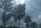 ALERTĂ METEO. România, sub cod galben. Ploi și vijelii în toată țara până marți